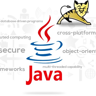 Java enterprise websites